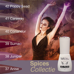White Angel Spices Collectie 10 ml