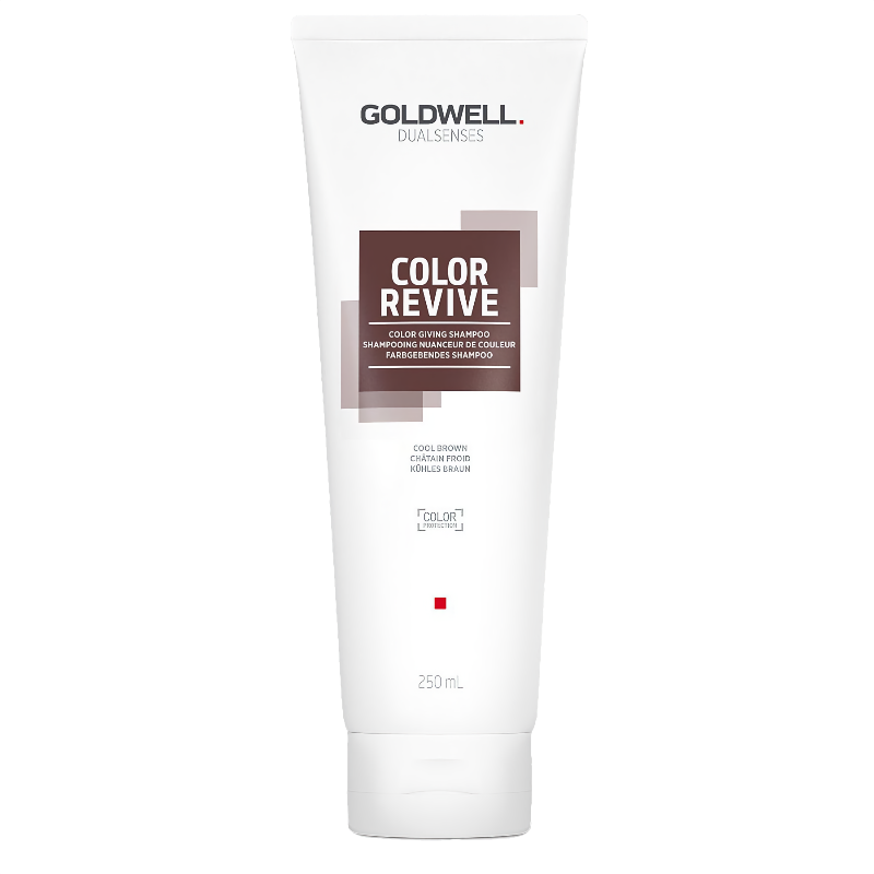 Goldwell DualSenses Color Revive Shampoo Cool Brown 250 ml